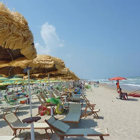 Nettuno *