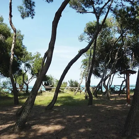Nettuno Апартаменты Пинето
